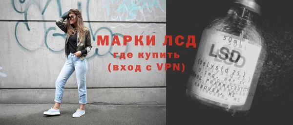 сатива Новодвинск