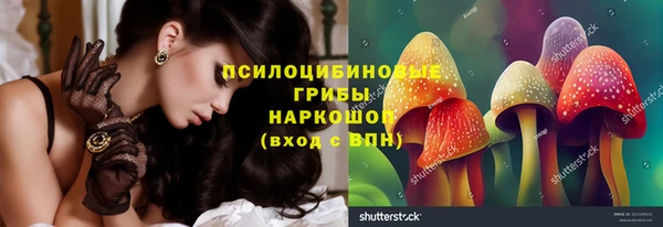 сатива Новодвинск