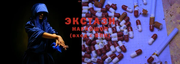 сатива Новодвинск