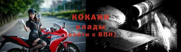 сатива Новодвинск