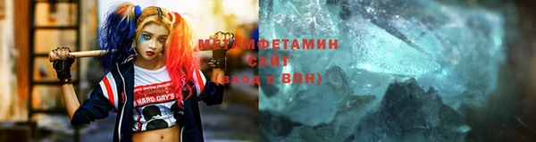 сатива Новодвинск