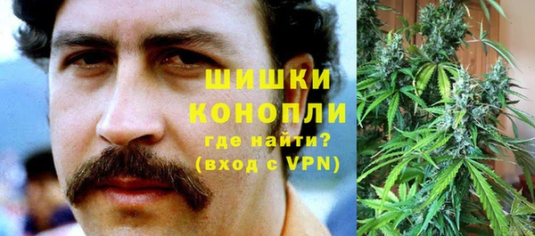 сатива Новодвинск