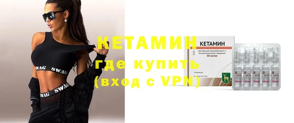 сатива Новодвинск