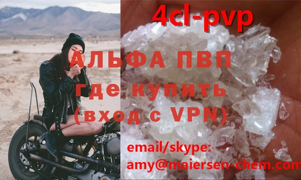 сатива Новодвинск
