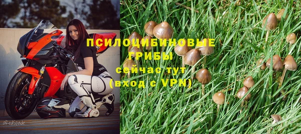 кокс Новозыбков