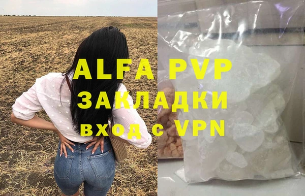 сатива Новодвинск