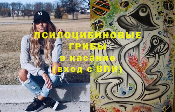 сатива Новодвинск