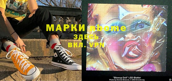 сатива Новодвинск