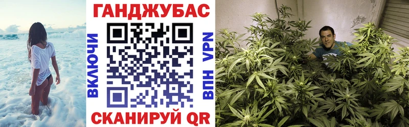 Купить закладки  Ржев  Бошки Шишки сатива 